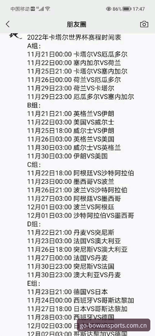 世界杯观赛签证风波下的操作教程——博万体育平台用户的赛事体验指南